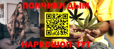 гидра Славгород