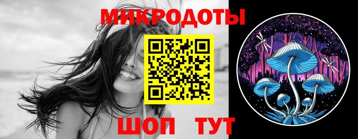 Минеральные Воды  Галлюциногенные грибы Psilocybine cubensis  Вход с VPN 