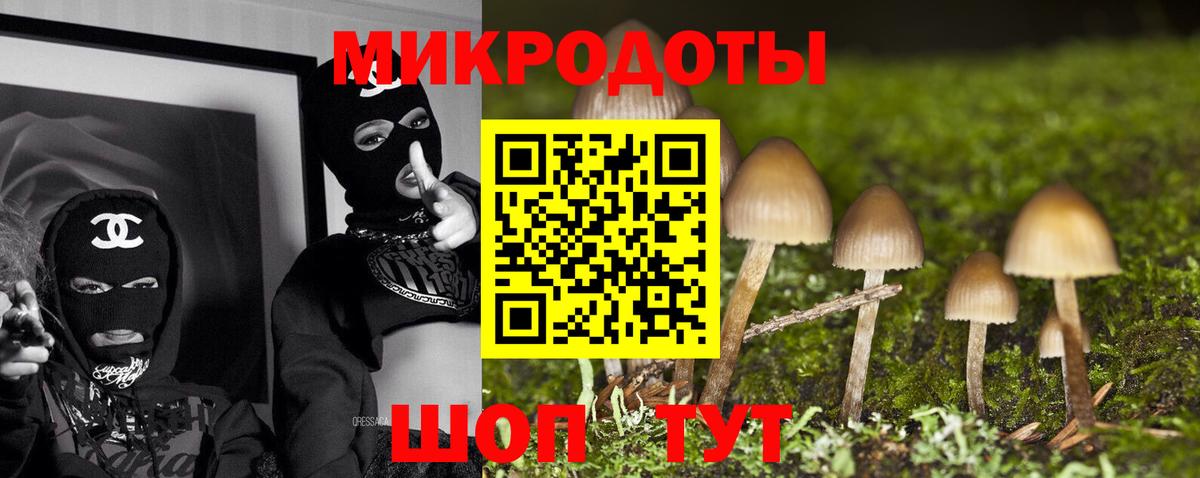 Псилоцибиновые грибы Psilocybine cubensis Минеральные Воды